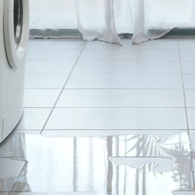 Appliance Leak Cleanup in Gifford, IL