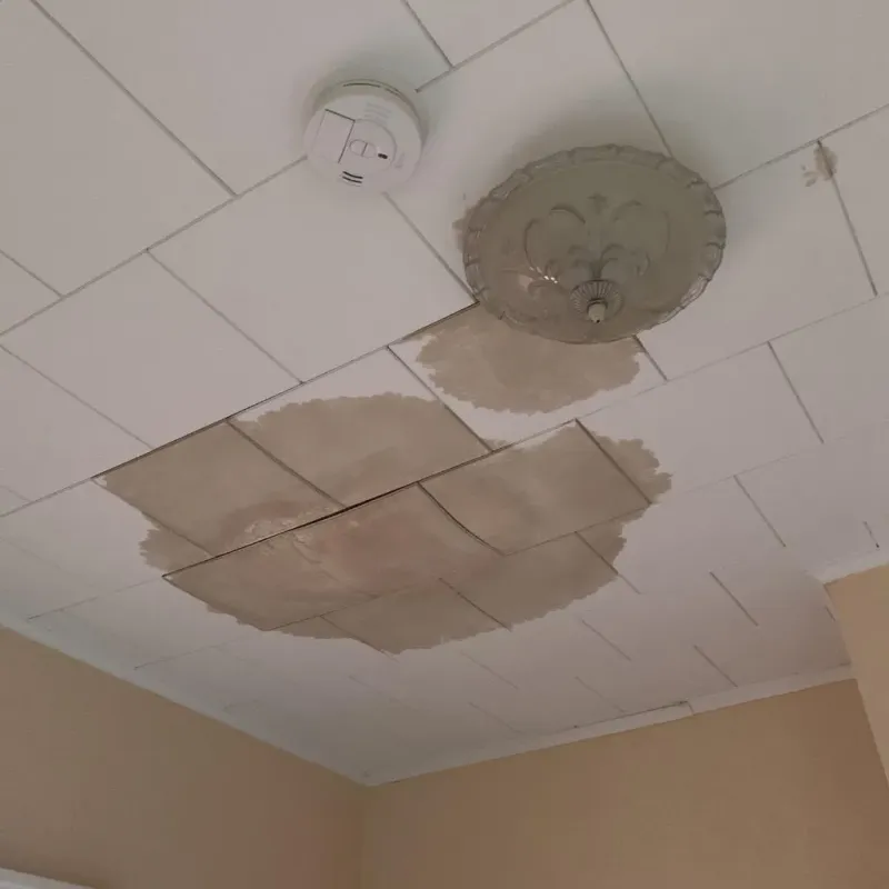 Ceiling Water Damage Repair in Gifford, IL