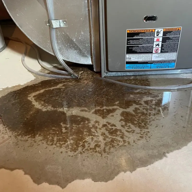 Pipe Burst and Leak Restoration in Gifford, IL