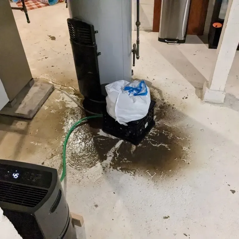 Sewage Backup Cleanup Service in Gifford, IL